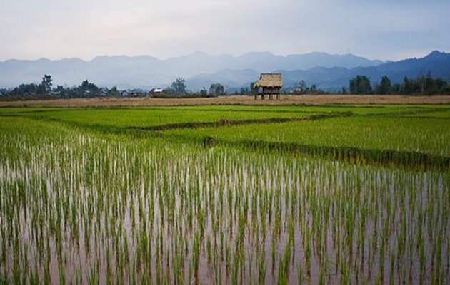 Laos Luang Namtha