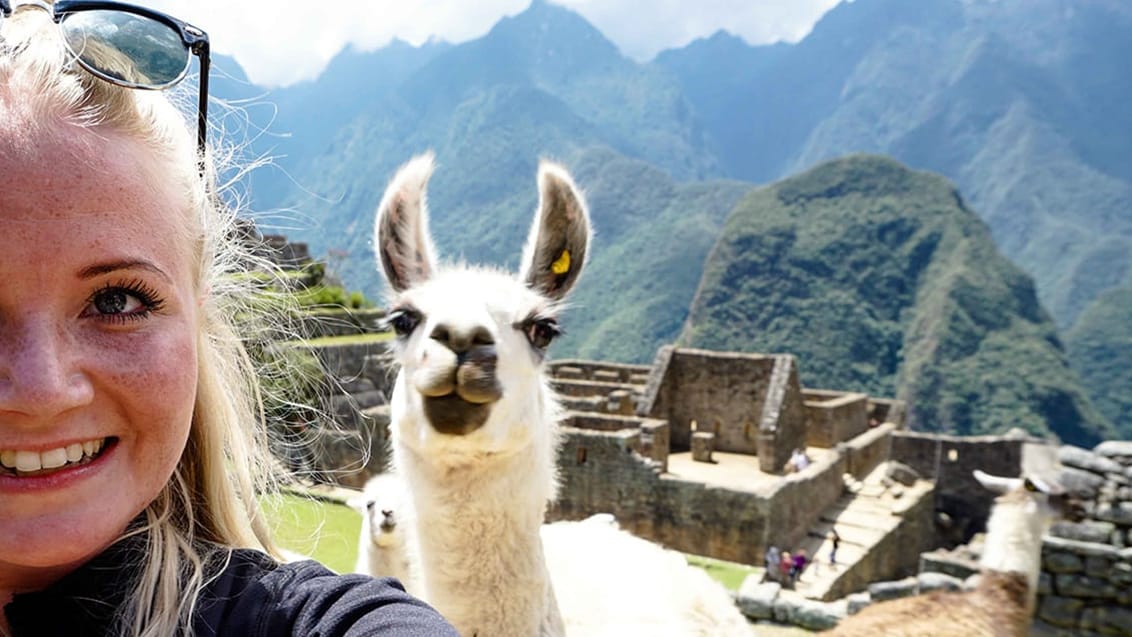 Lama-selfie!!!